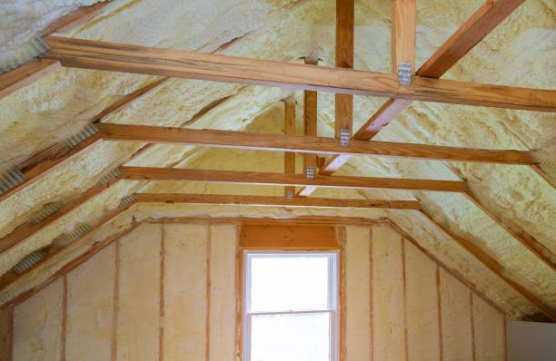 Best Insulation Maintenance and Repair in The Galena Territory, IL