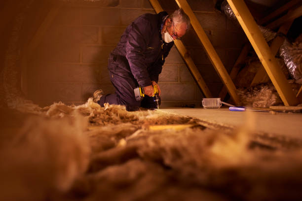Professional Insulation Contractor in The Galena Territory, IL